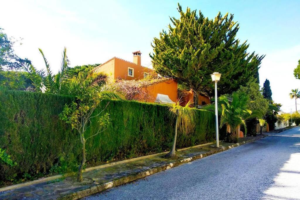 מאלגה Villa Torrenueva מראה חיצוני תמונה
