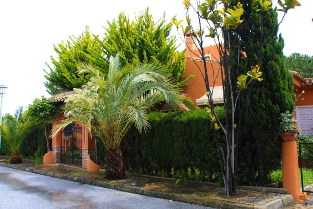 מאלגה Villa Torrenueva מראה חיצוני תמונה
