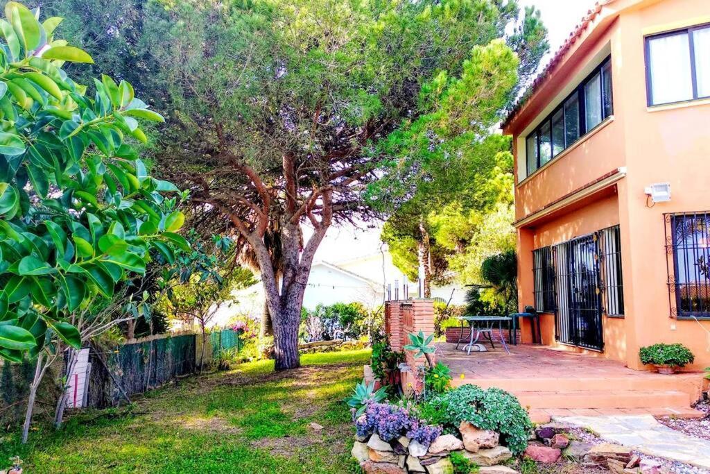 מאלגה Villa Torrenueva מראה חיצוני תמונה
