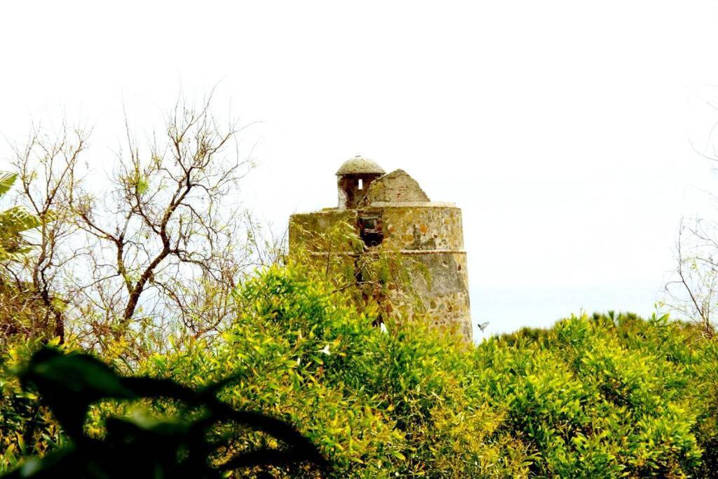מאלגה Villa Torrenueva מראה חיצוני תמונה