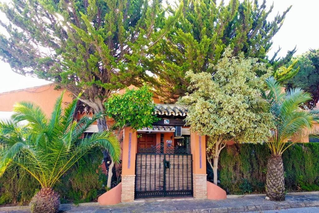 מאלגה Villa Torrenueva מראה חיצוני תמונה